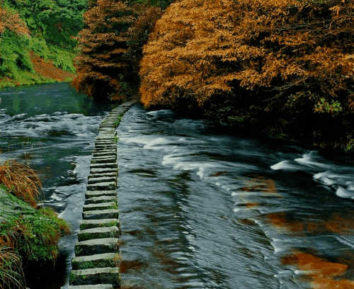 风景区票务系统解决方案