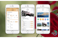 景区门票管理系统促使景区管理向信息化智能化转型