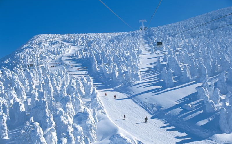 滑雪场门票销售系统系统采用一游客一帐户的方式进行多种收费项目的管理
