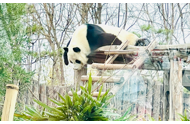 唐山动物园推出的购票平台引发热议