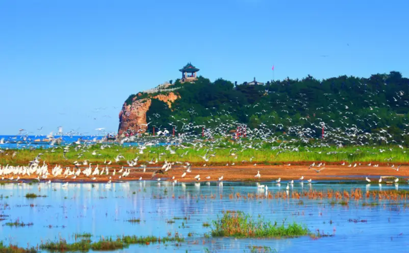 秦皇岛港口工业旅游区荣获国家4A级旅游景区认证，焕发新生