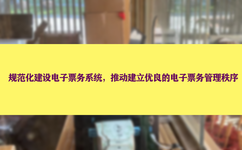 规范化建设电子票务系统，推动建立优良的电子票务管理秩序