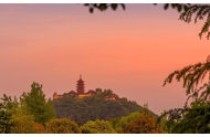 江苏发布夜经济政策新举措：点亮“夜旅游”，推动文化消费新活力