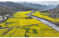 桐梓春光无限，花海带动乡村振兴
